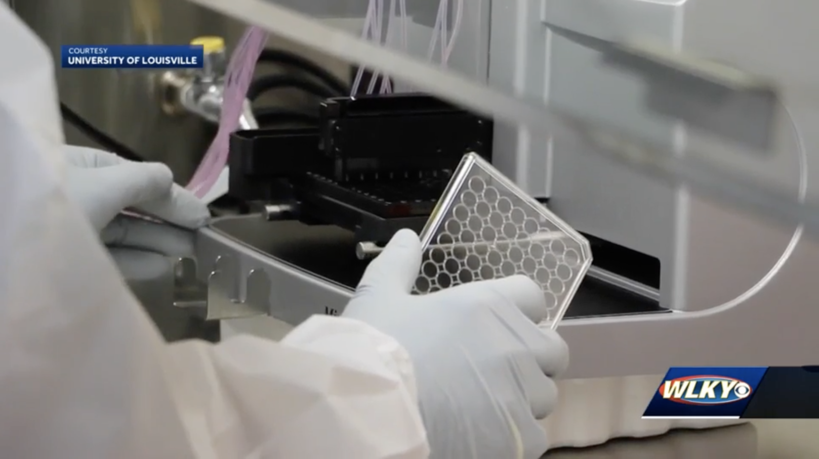 Other side of the curve: Hospitals, labs partner to test for COVID-19 antibodies, immunity